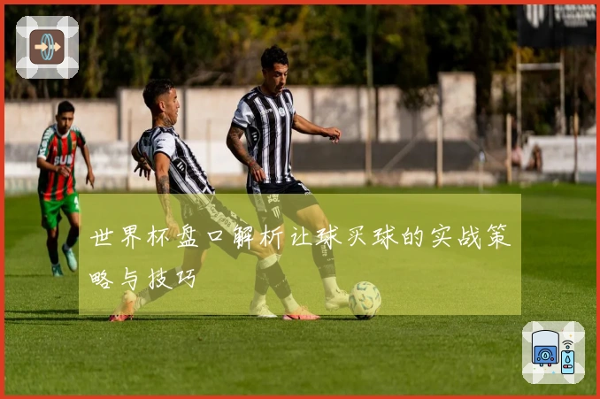 世界杯盘口解析让球买球的实战策略与技巧