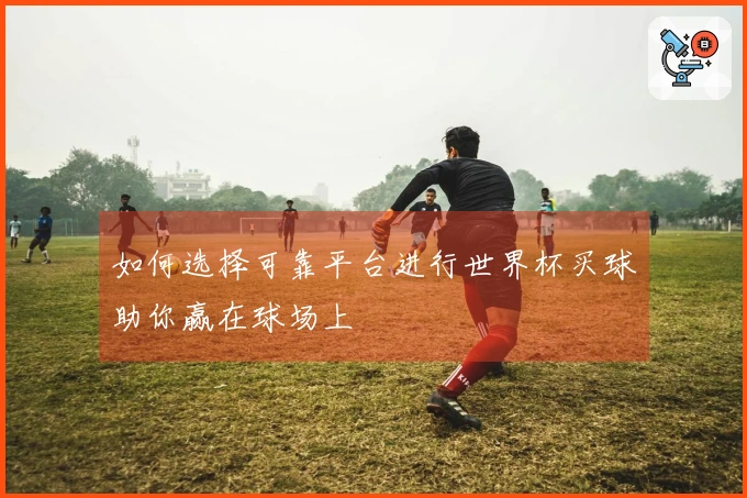 如何选择可靠平台进行世界杯买球助你赢在球场上