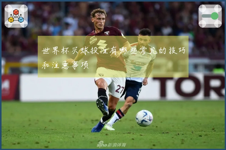 世界杯买球投注有哪些常见的技巧和注意事项