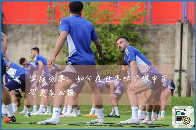 实战分享：如何在世界杯买球中获得更高回报