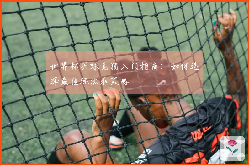 世界杯买球竞猜入门指南：如何选择最佳玩法和策略