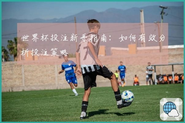 世界杯投注新手指南：如何有效分析投注策略