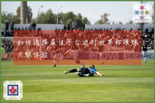 如何选择最佳平台进行世界杯滚球买球体验