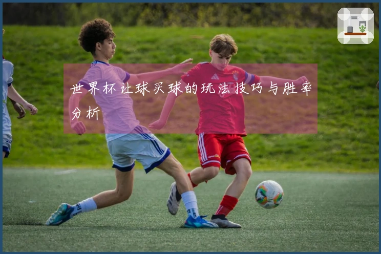 世界杯让球买球的玩法技巧与胜率分析