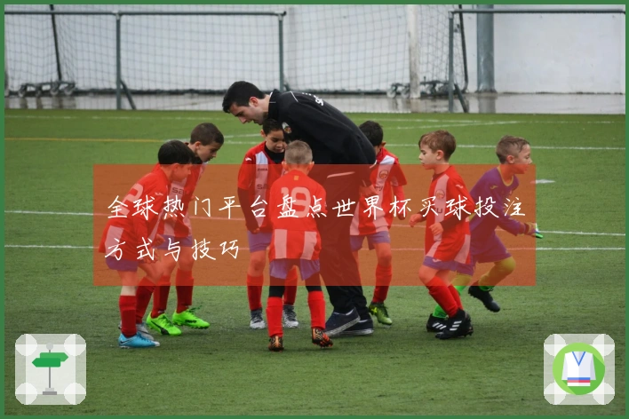 全球热门平台盘点世界杯买球投注方式与技巧