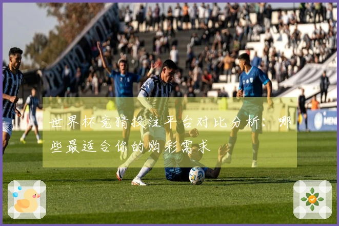 世界杯竞猜投注平台对比分析：哪些最适合你的购彩需求