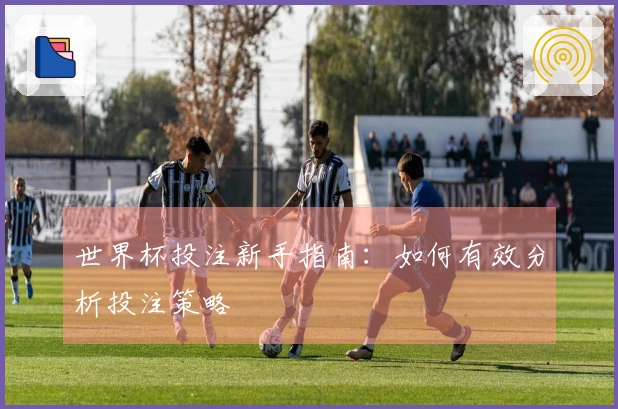 世界杯投注新手指南：如何有效分析投注策略