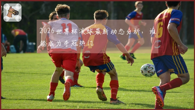 2026世界杯滚球最新动态分析，谁能成为夺冠热门