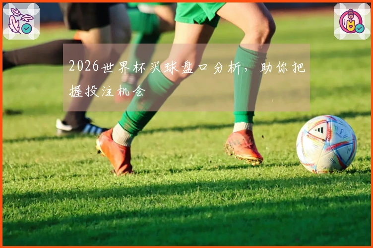 2026世界杯买球盘口分析，助你把握投注机会