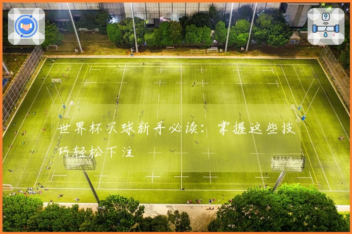 世界杯买球新手必读：掌握这些技巧轻松下注