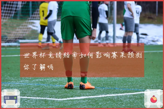 世界杯竞猜赔率如何影响赛果预测你了解吗