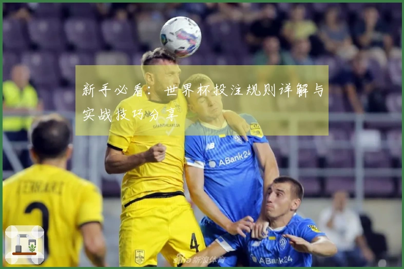 新手必看：世界杯投注规则详解与实战技巧分享