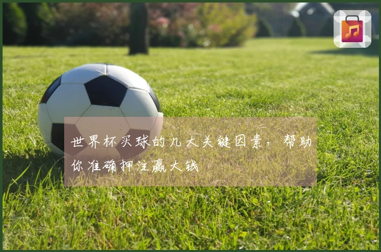 世界杯买球的几大关键因素，帮助你准确押注赢大钱