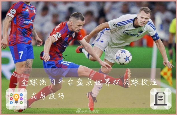 全球热门平台盘点世界杯买球投注方式与技巧