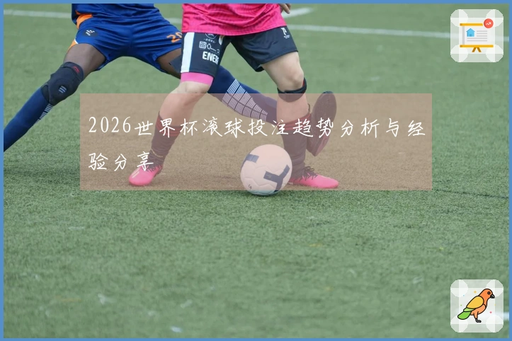 2026世界杯滚球投注趋势分析与经验分享