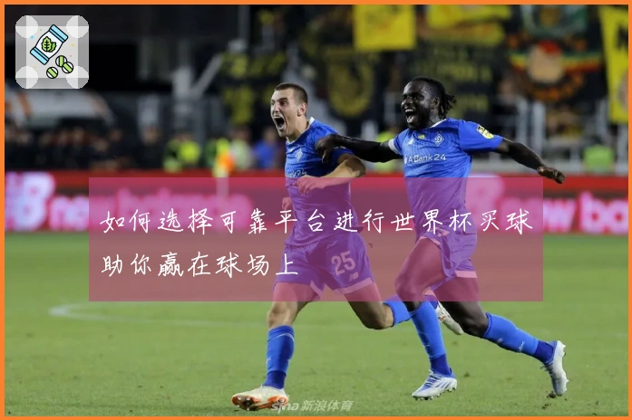 如何选择可靠平台进行世界杯买球助你赢在球场上