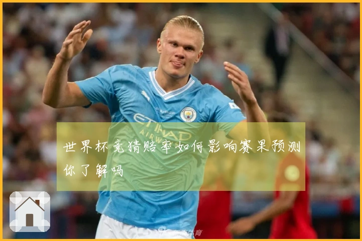 世界杯竞猜赔率如何影响赛果预测你了解吗